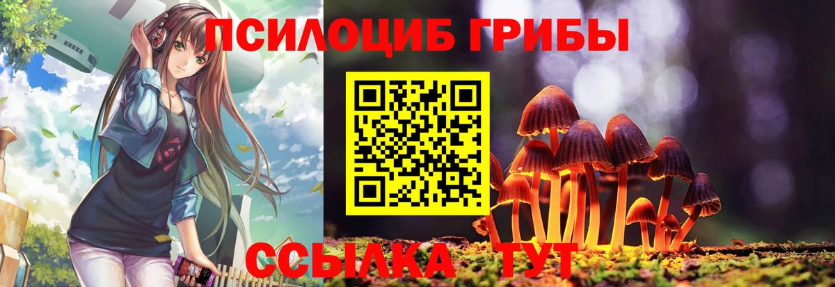 Камышлов  Галлюциногенные грибы мицелий  Вход с VPN  Галлюциногенные грибы ЛСД 